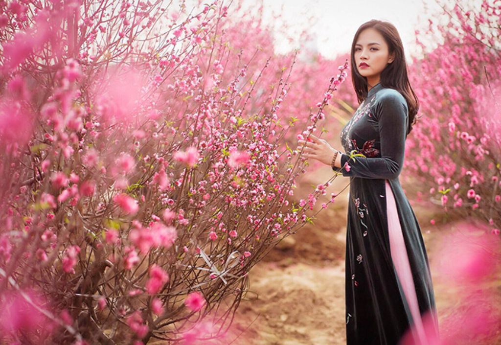 Vườn đào Nhật Tân - chỗ chụp ảnh Tết ở Hà Nội đẹp nhất định không thể bỏ qua 