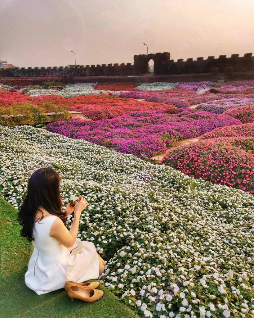 Khám phá địa điểm chụp ảnh tết siêu xinh tại Hà Nội mùa xuân Ất Tỵ 2025