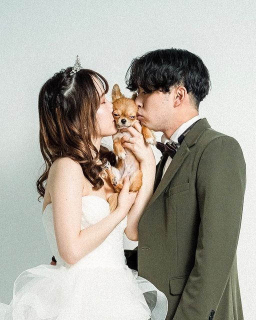 Tìm hiểu giá chụp ảnh cưới cùng thú cưng trong studio