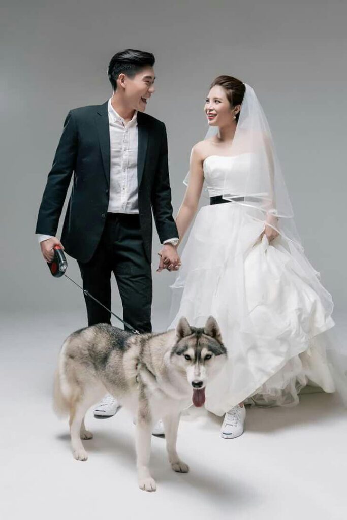 Chụp ảnh cưới trong studio nhẹ nhàng cùng thú cưng