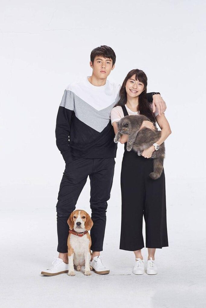 Phụ kiện chụp ảnh cưới đẹp cùng thú cưng trong studio