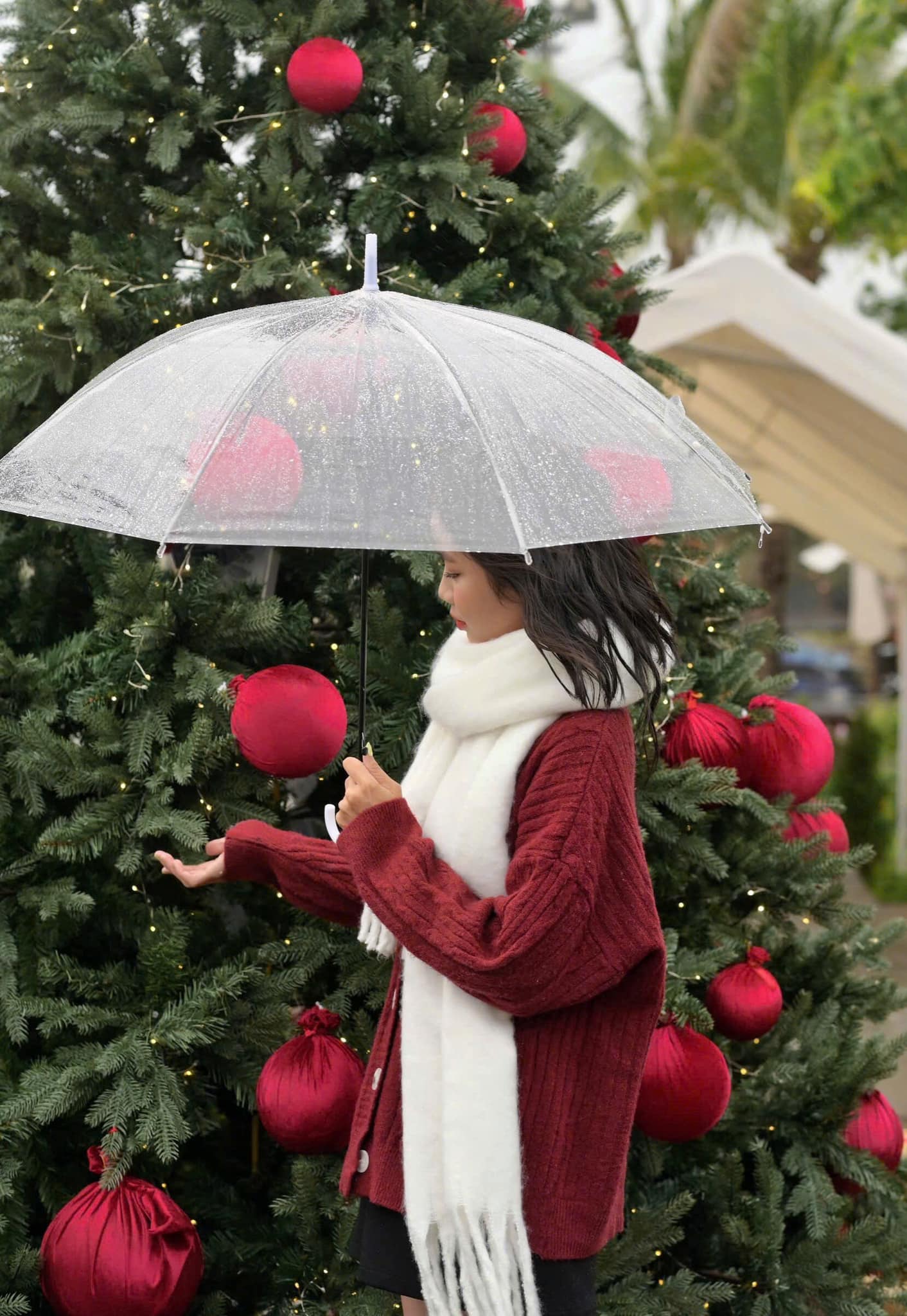 Top địa điểm chụp ảnh Giáng sinh đẹp nhất Hội An – lung linh phố cổ