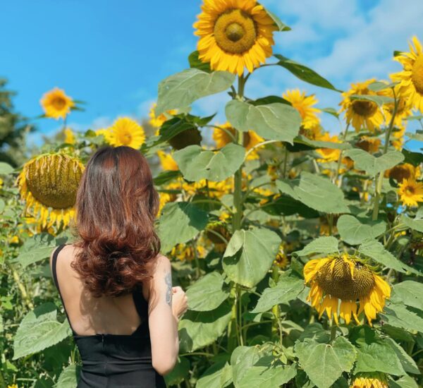 Những lưu ý khi sử dụng dịch vụ chỉnh sửa ảnh online